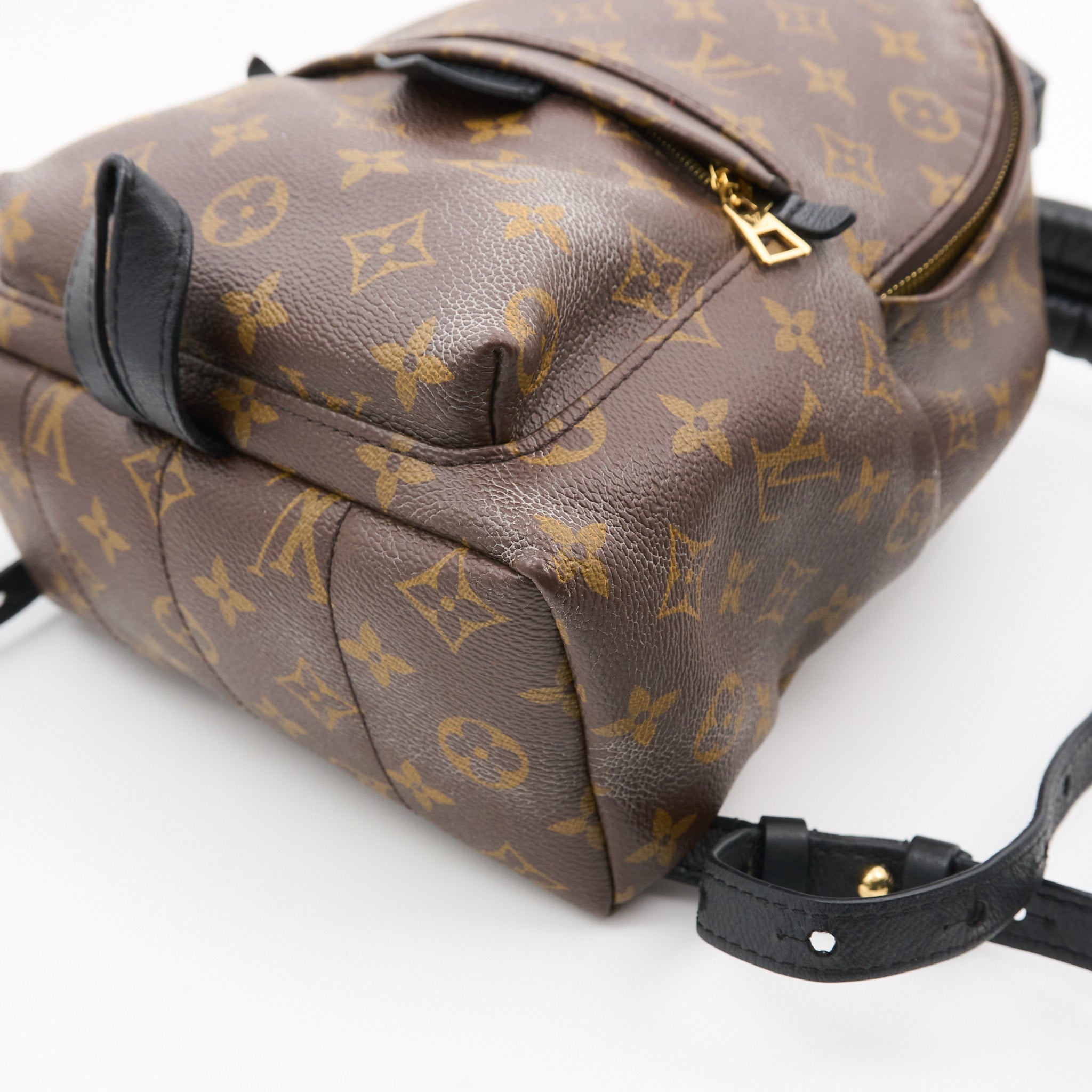 Louis Vuitton Palm Springs MM Backpack