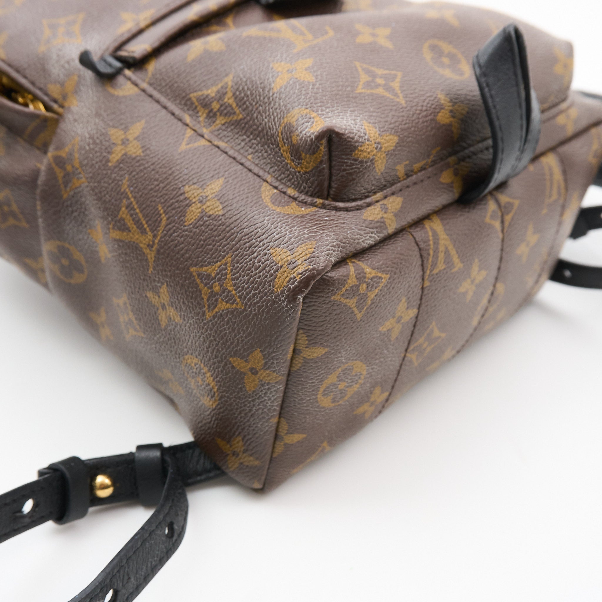 Louis Vuitton Palm Springs MM Backpack