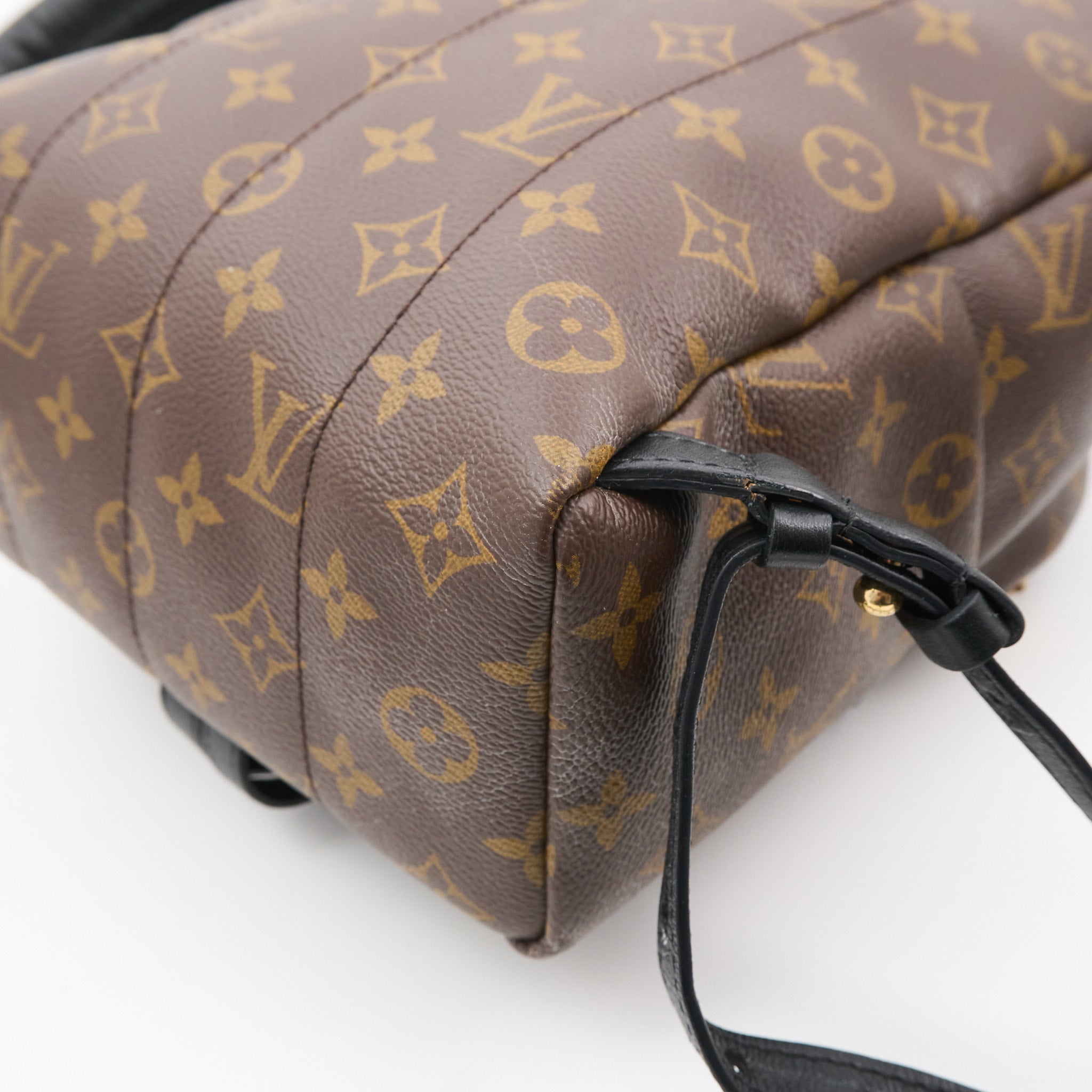 Louis Vuitton Palm Springs MM Backpack