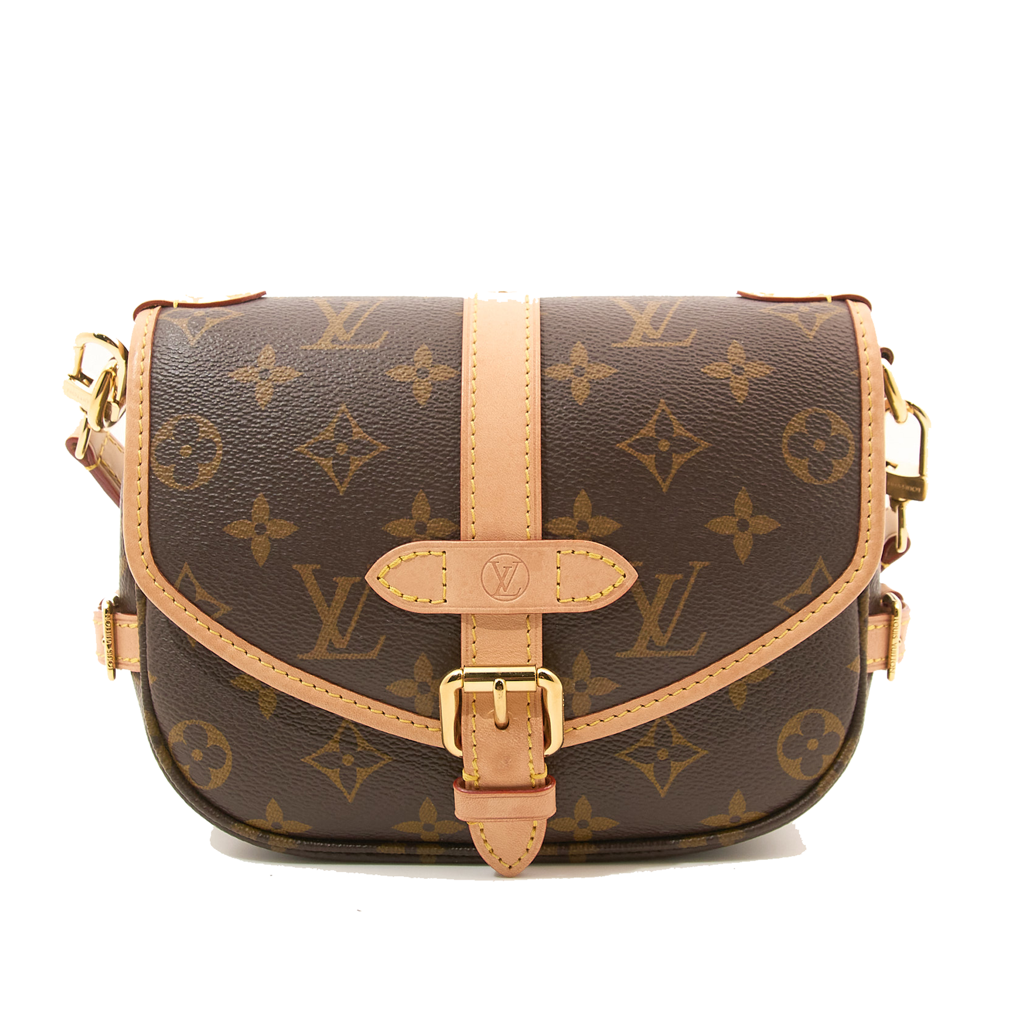 Louis Vuitton Saumur BB Bag