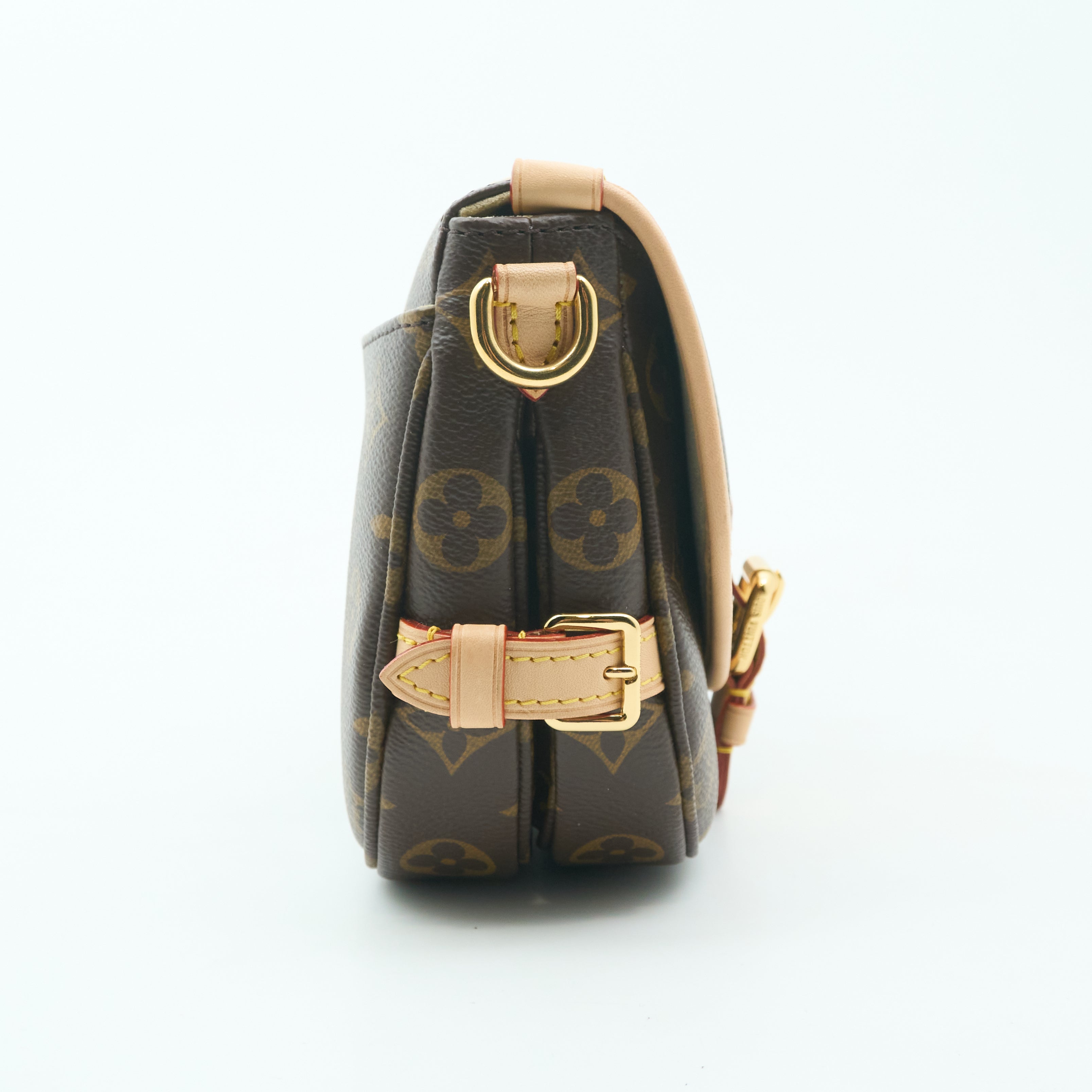 Louis Vuitton Saumur BB Monogram