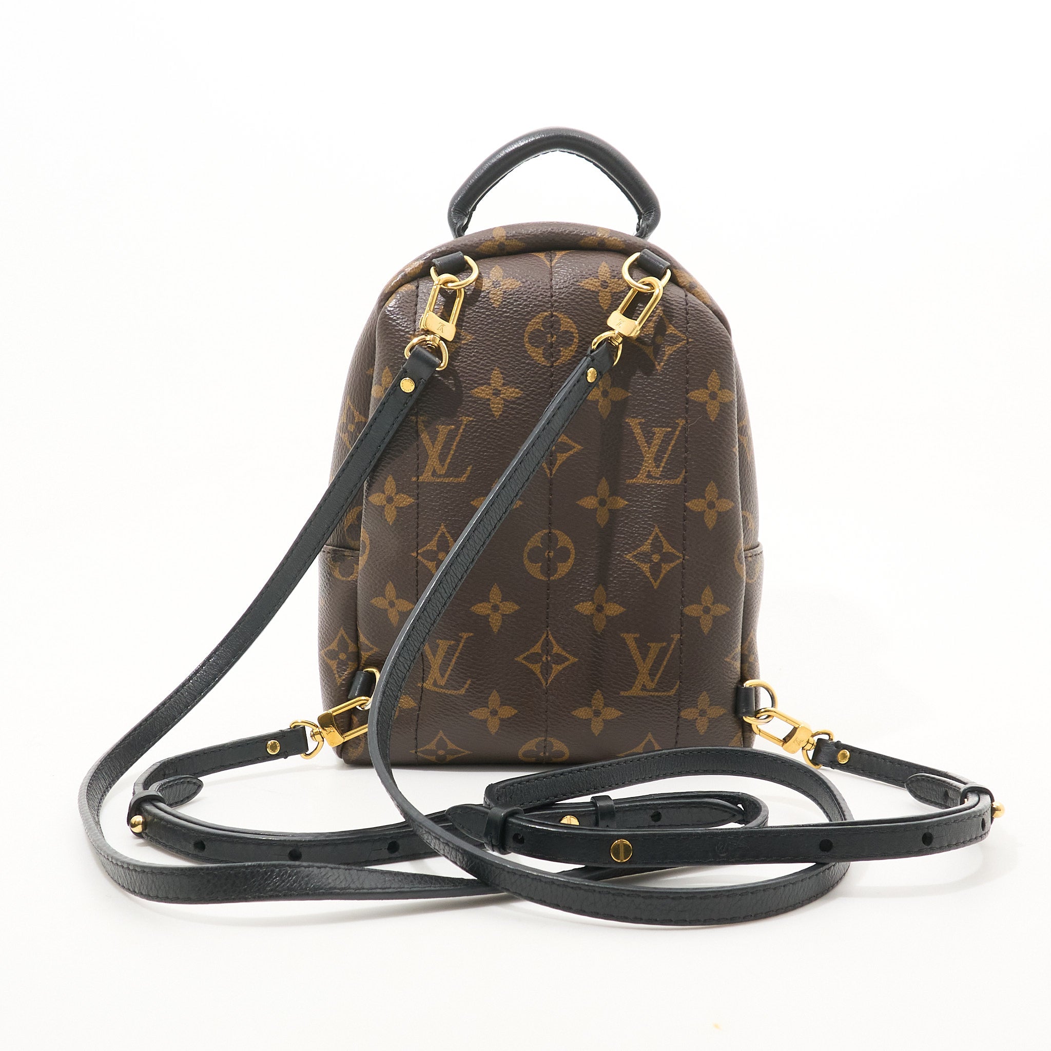 Louis Vuitton Palm Springs Mini Backpack