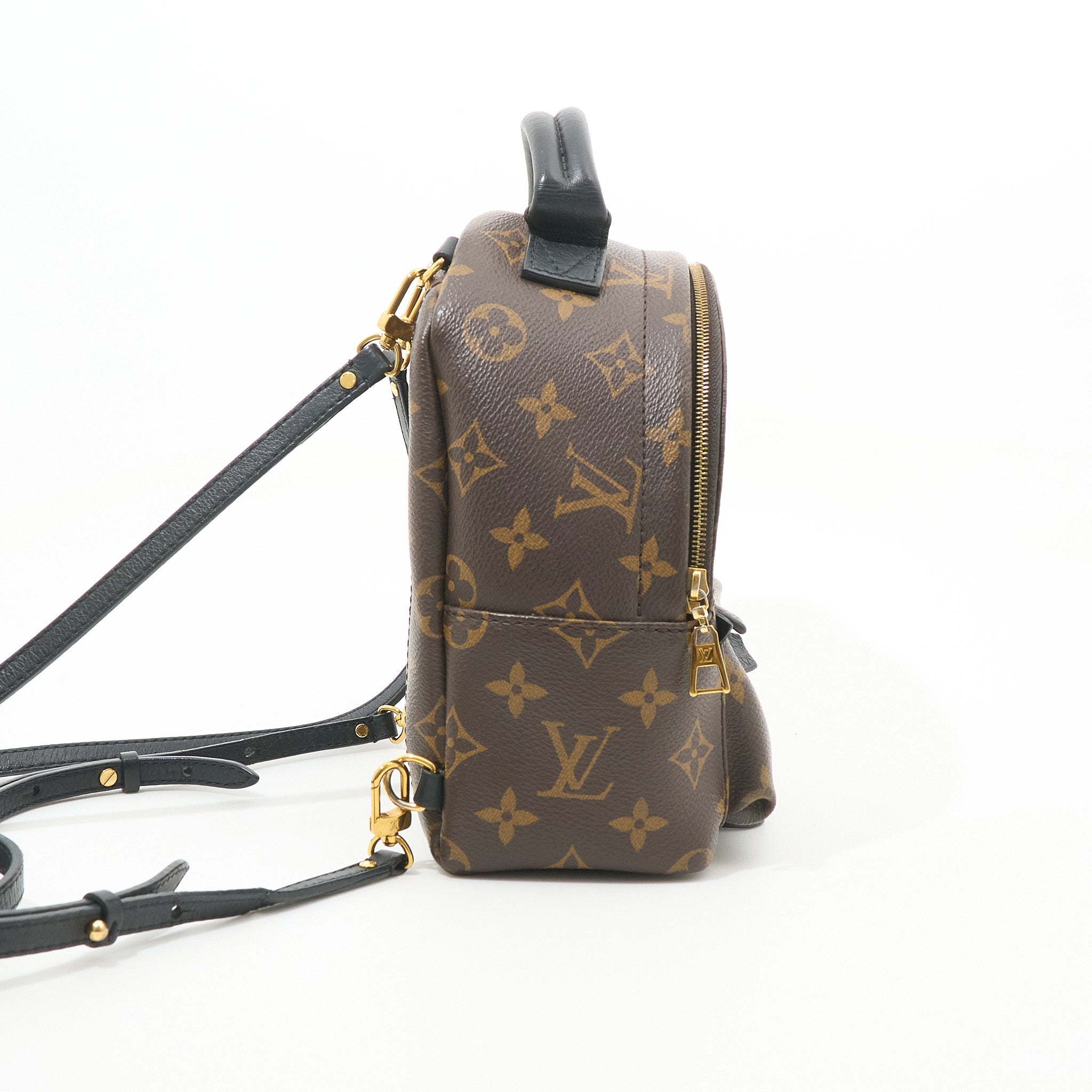 Louis Vuitton Palm Springs Mini Backpack
