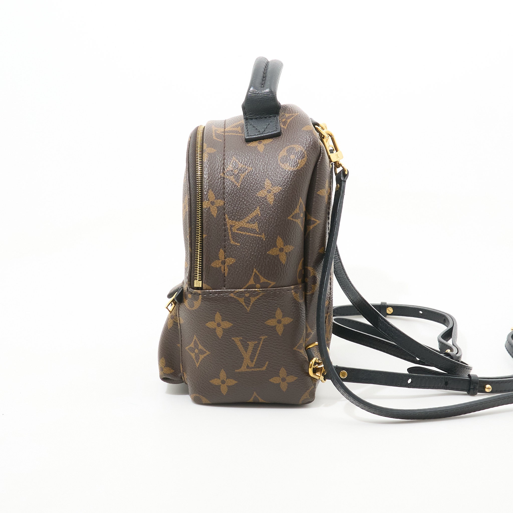 Louis Vuitton Palm Springs Mini Backpack