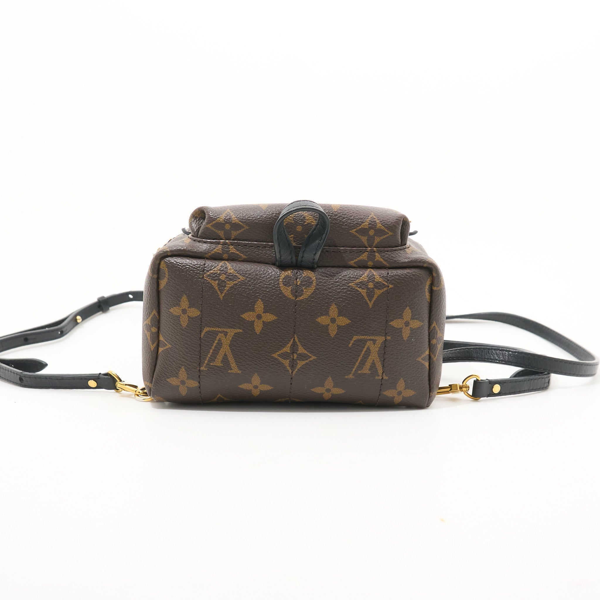 Louis Vuitton Palm Springs Mini Backpack