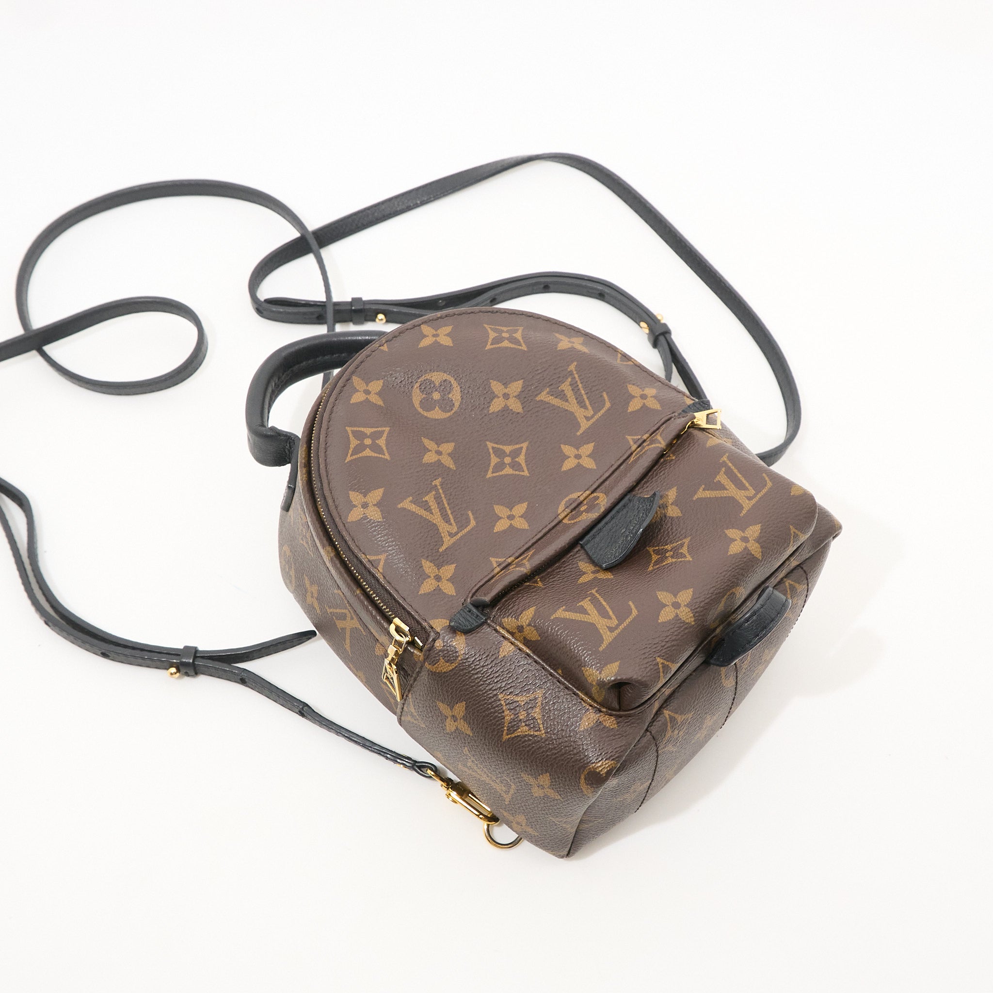 Louis Vuitton Palm Springs Mini Backpack