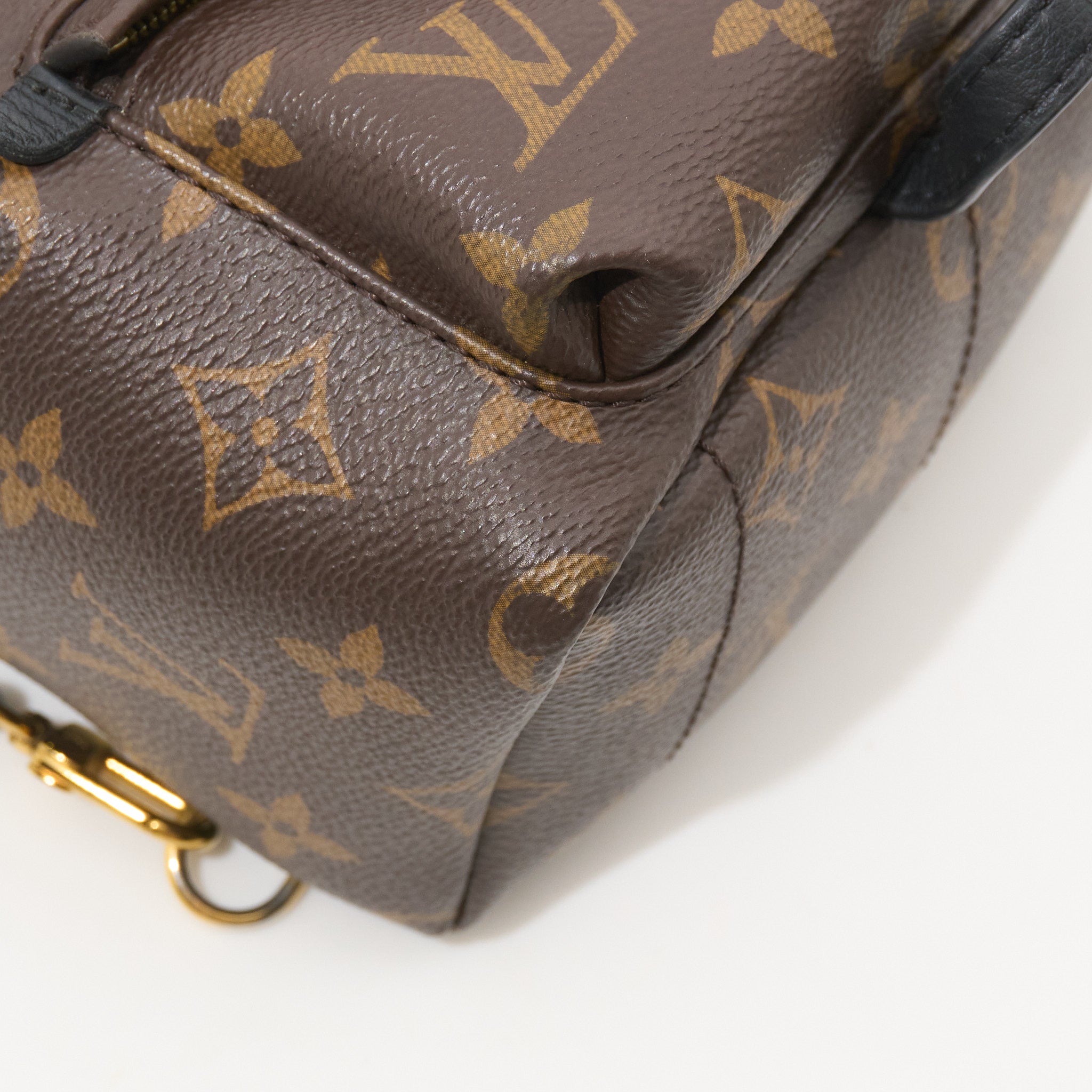 Louis Vuitton Palm Springs Mini Backpack