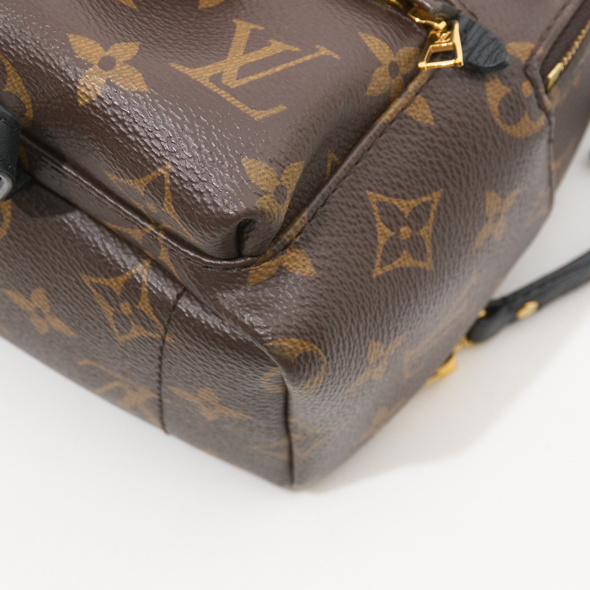 Louis Vuitton Palm Springs Mini Backpack