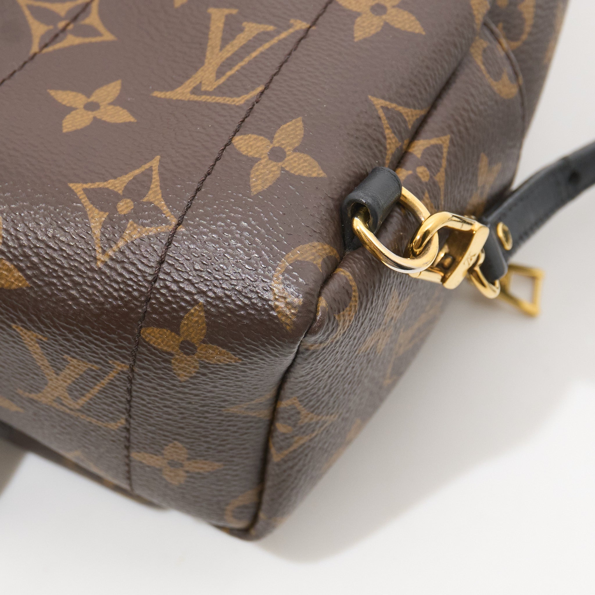 Louis Vuitton Palm Springs Mini Backpack