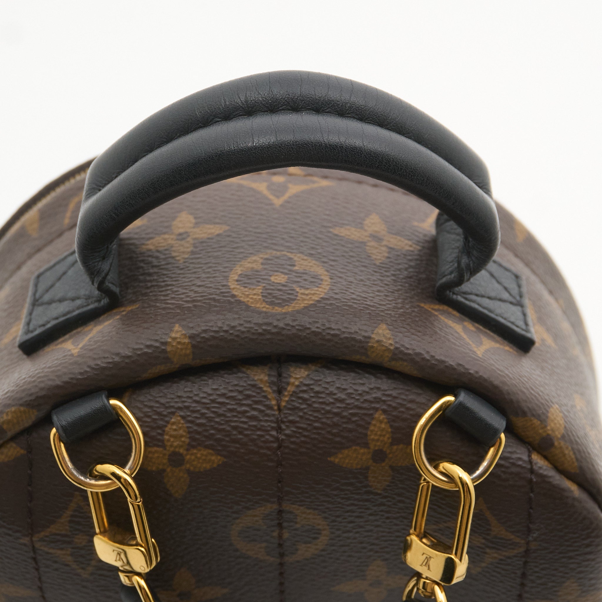 Louis Vuitton Palm Springs Mini Backpack