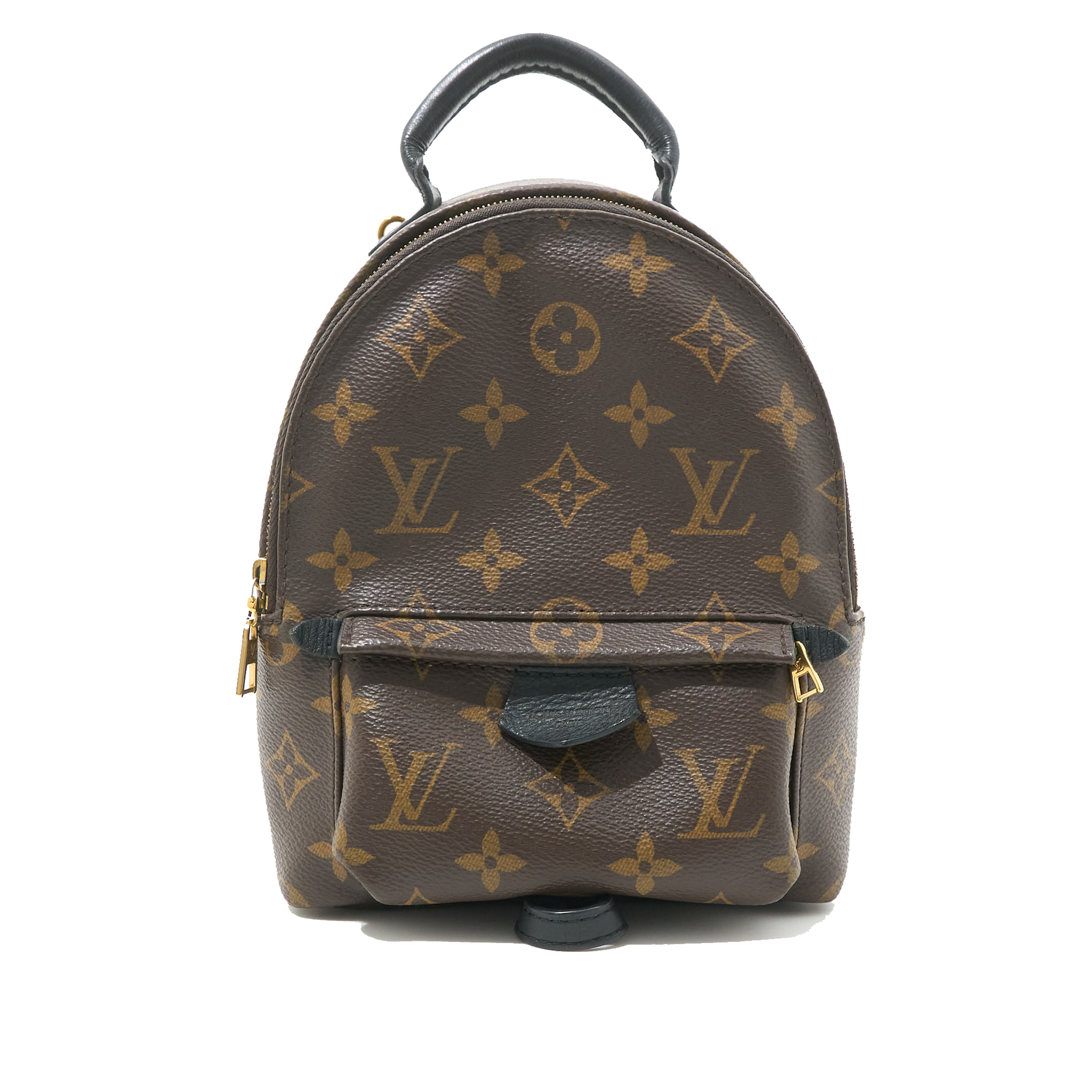 Louis Vuitton Palm Springs Mini Backpack