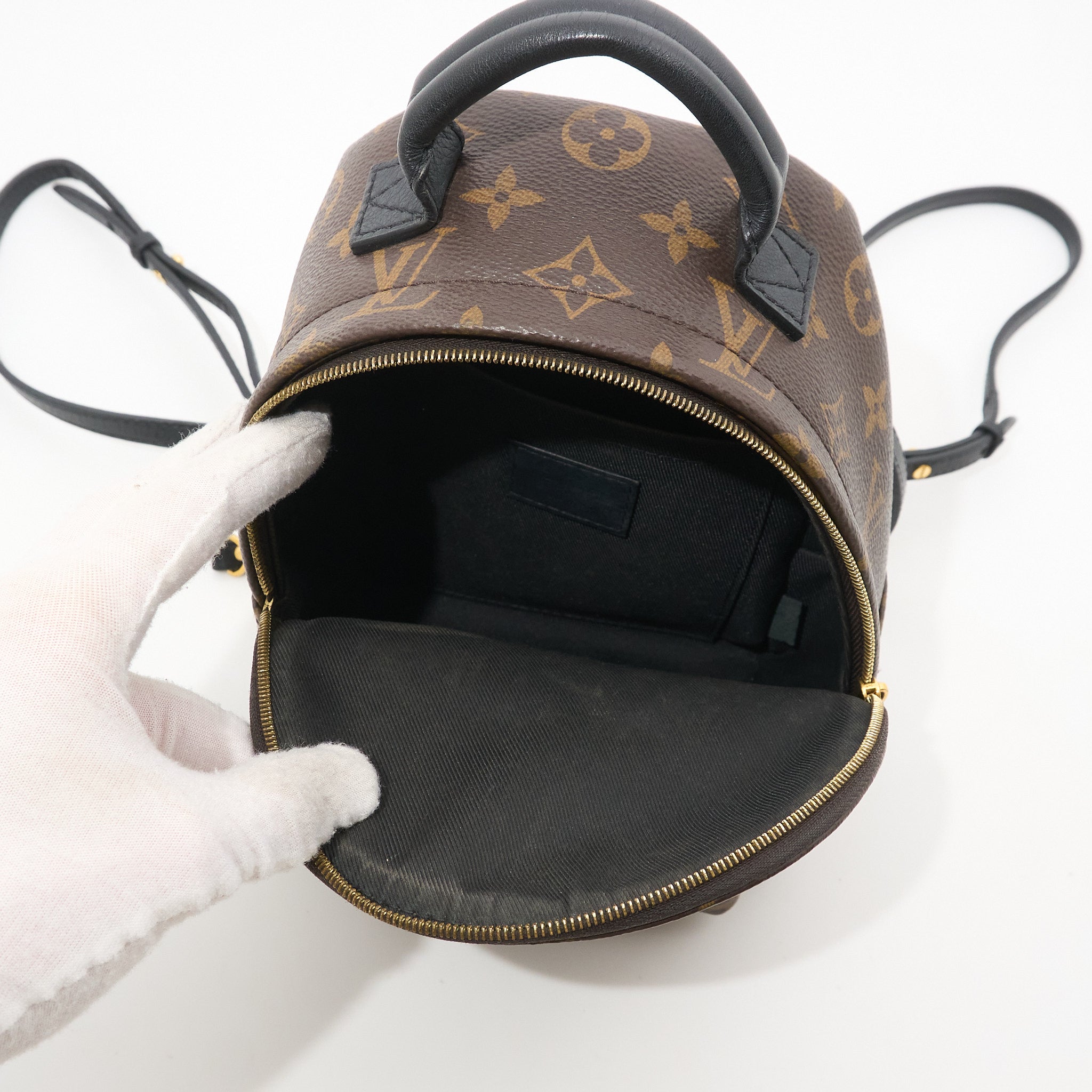 Louis Vuitton Palm Springs Mini Backpack