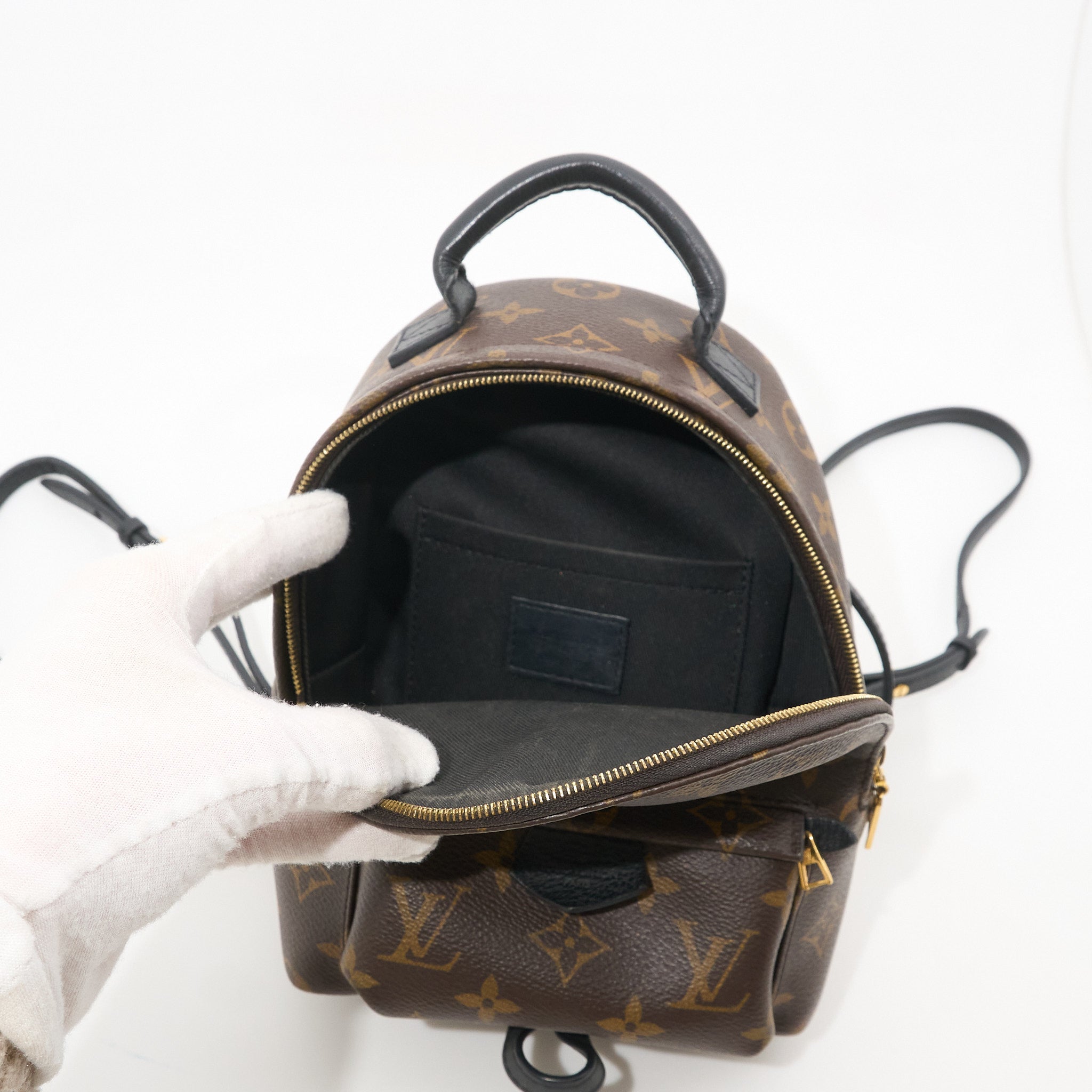 Louis Vuitton Palm Springs Mini Backpack