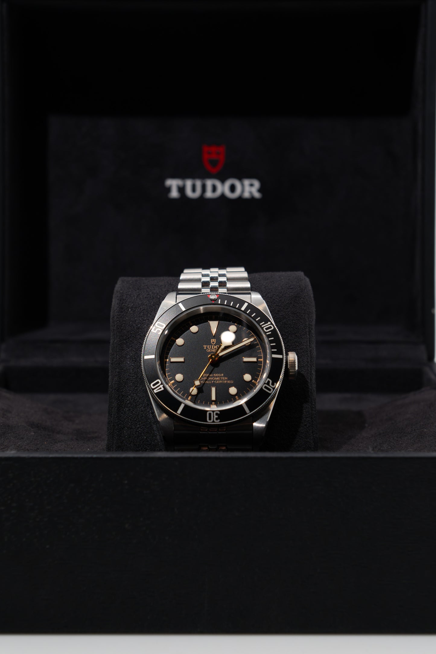 Tudor Black Bay 79230N